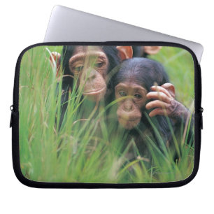 Capa Para Notebook Três chimpanzés novos (troglodytes da bandeja)