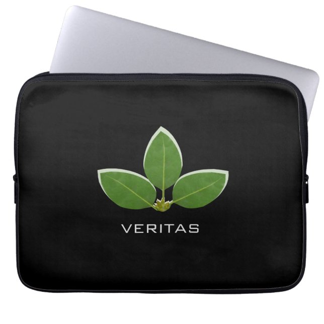 Capa Para Notebook Três Folhas Verdes Modernas (Frente)