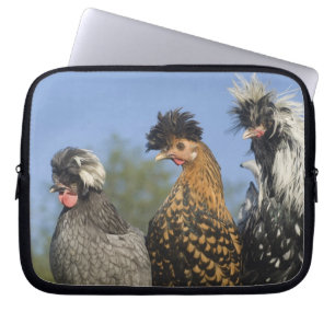 Capa Para Notebook Três galinhas polonesas -