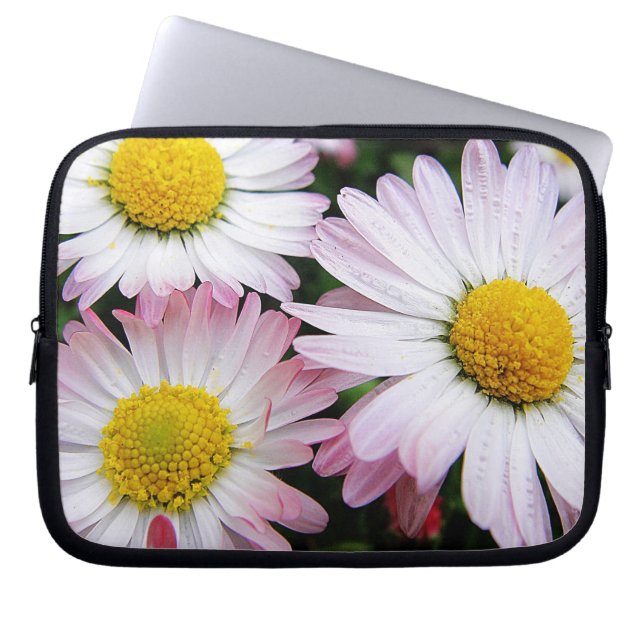 Capa Para Notebook Três margaridas rosa e branca (Frente)