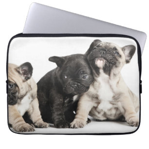 Capa Para Notebook Três Pug Puppies