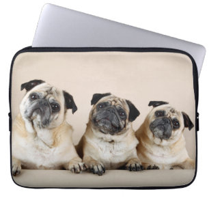 Capa Para Notebook Três Pugs Em Uma Linha