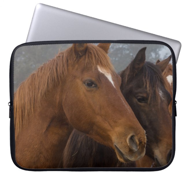 Capa Para Notebook Triplets de cavalos (Frente)