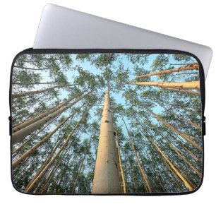 Capa Para Notebook Troncos e Folhas de Aspen, Yukon