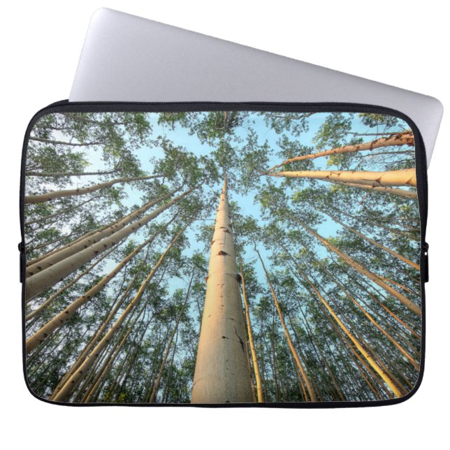 Capa Para Notebook Troncos e Folhas de Aspen, Yukon (Frente)