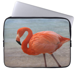 Capa Para Notebook Tropical Beaches   Caribbean Flamingo, Aruba