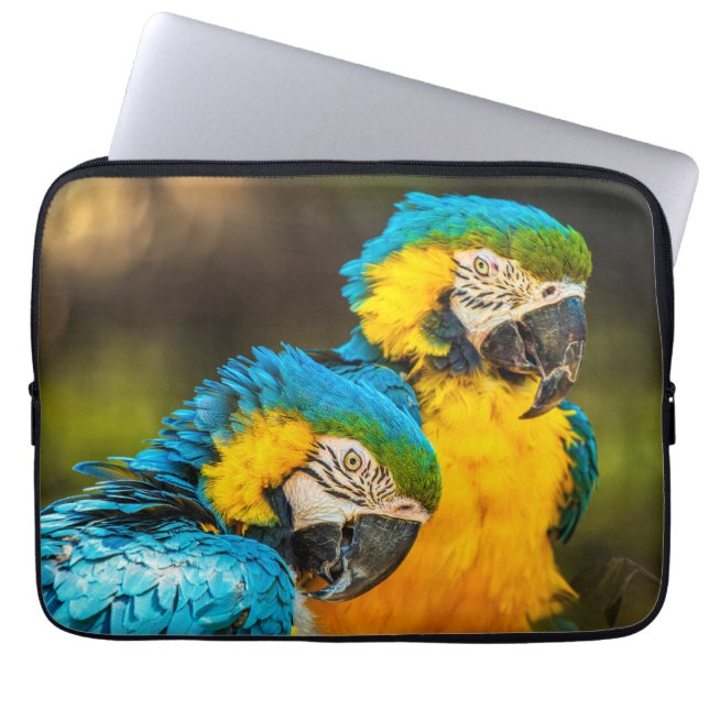 Capa Para Notebook Tropical Companions (Frente)