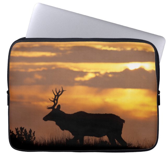 Capa Para Notebook Tule Elk | Point Reyes National Seashore (Frente)