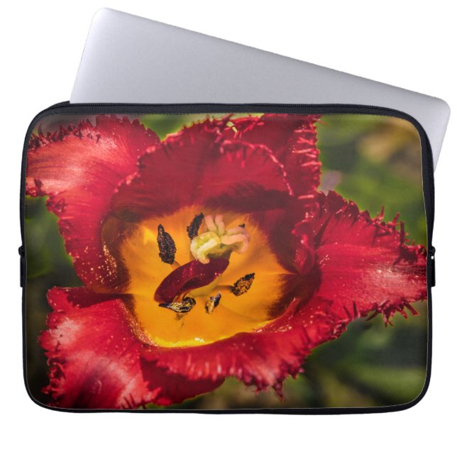 Capa Para Notebook tulipa vermelha (Frente)