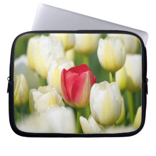 Capa Para Notebook Tulipa vermelha em um campo das tulipas brancas