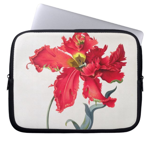 Capa Para Notebook Tulipa: Vermelho de Perroquet (Frente)