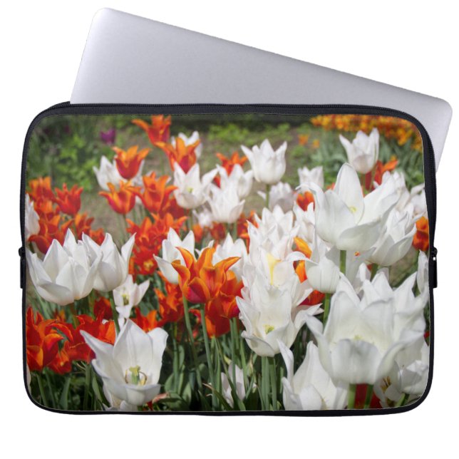 Capa Para Notebook Tulipas brancas e gengibres no jardim (Frente)
