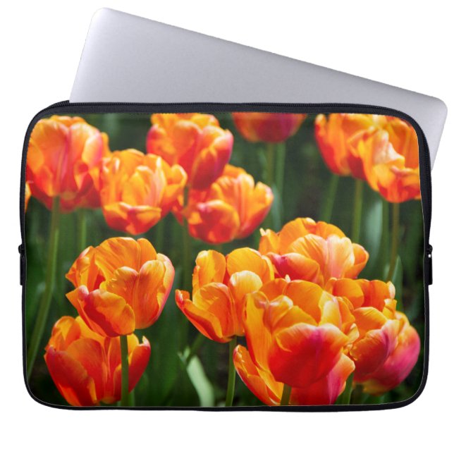 Capa Para Notebook Tulipas laranja-claras no parque (Frente)