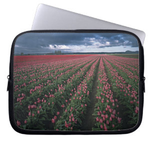 Capa Para Notebook Tulipas rosa brilhante e vermelho brilham sob o es