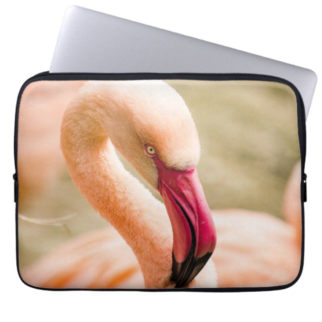 Capa Para Notebook Um Belo Flamingo Rosa (Frente)