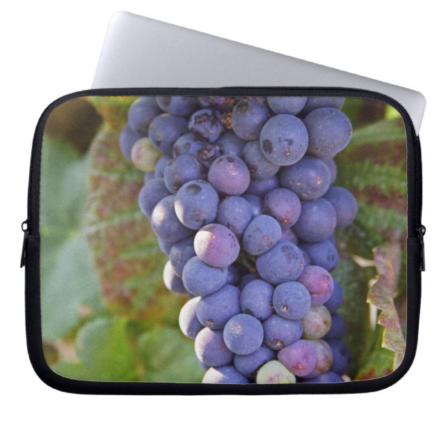 Capa Para Notebook Um cacho de uvas Pinot Noir em um Chambertin (Frente)