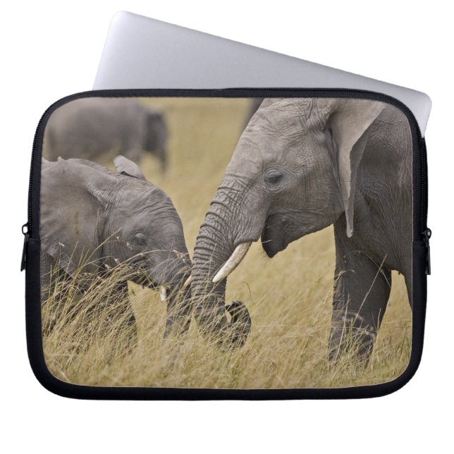 Capa Para Notebook Um elefante africano pastando nos campos (Frente)