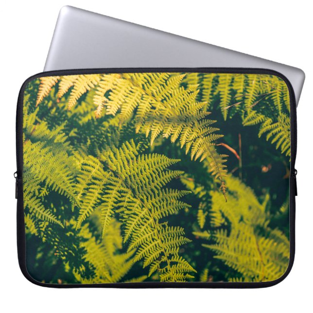 Capa Para Notebook Um fundo verde de plantas de samambaia com sombras (Frente)