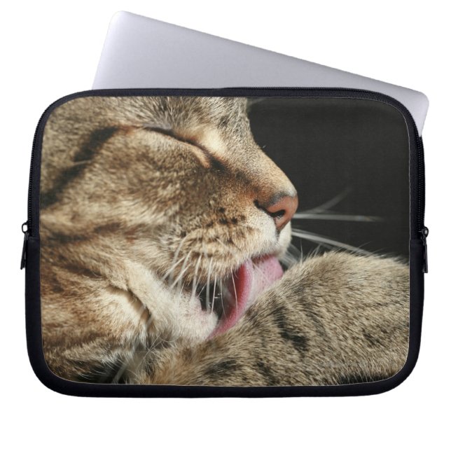 Capa Para Notebook Um gato de mesa lambendo sua pata. (Frente)