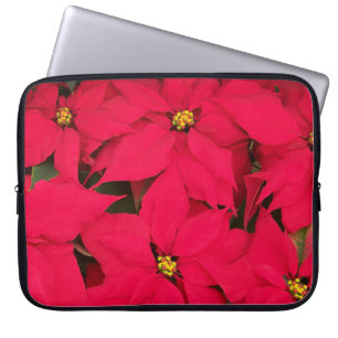 Capa Para Notebook Um monte de Poinsettias de Natal Brilhante
