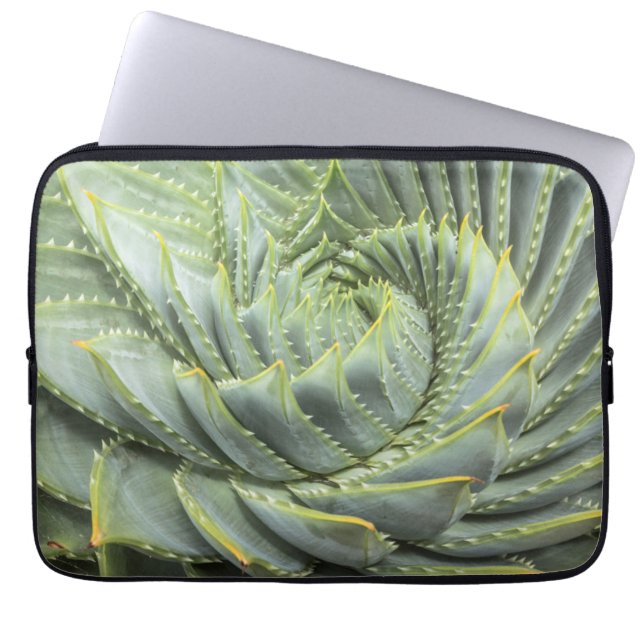 Capa Para Notebook Um Succulent verde & branco (Frente)