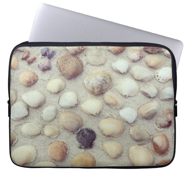 Capa Para Notebook Uma coleção dos Seashells (Frente)