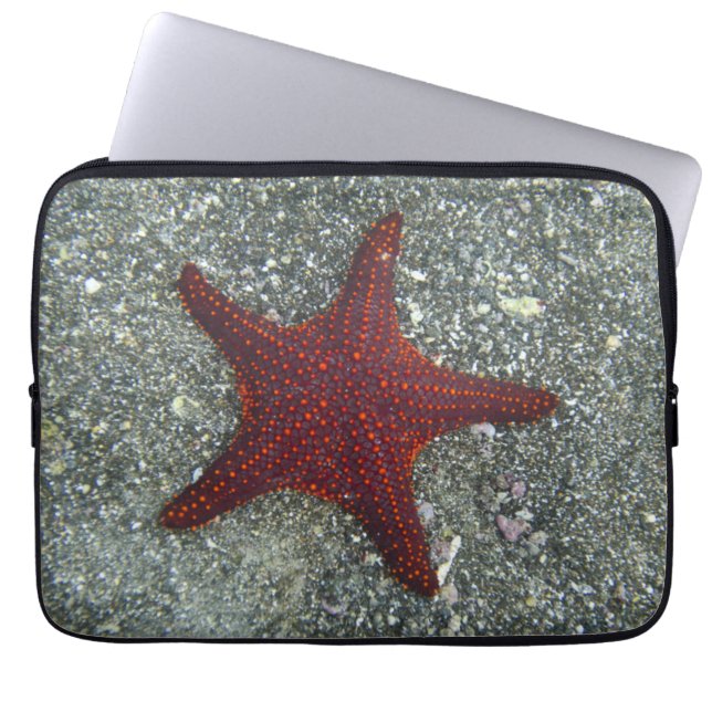 Capa Para Notebook Uma estrela do mar vermelha | Galápagos, Equador (Frente)