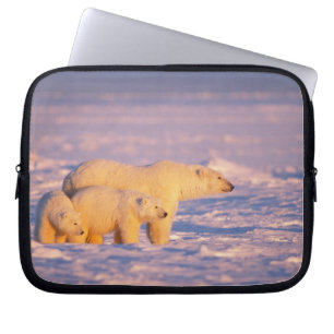 Capa Para Notebook Ursa polar semeia com filhotes de primavera no con