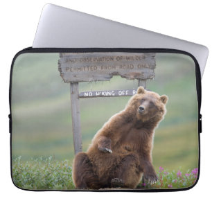 Capa Para Notebook Urso Pardo Brinca Com Placa
