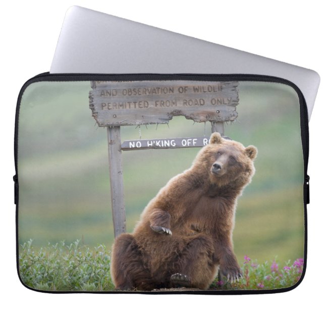 Capa Para Notebook Urso Pardo Brinca Com Placa (Frente)