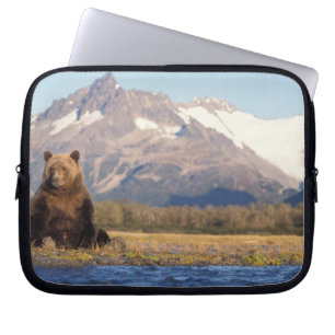 Capa Para Notebook urso pardo, Ursus arctos, urso cinzento, Ursus