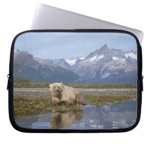 Capa Para Notebook urso pardo, Ursus arctos, urso cinzento, Ursus 4