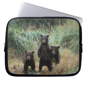 Capa Para Notebook urso pardo, Ursus arctos, urso cinzento, Ursus 7