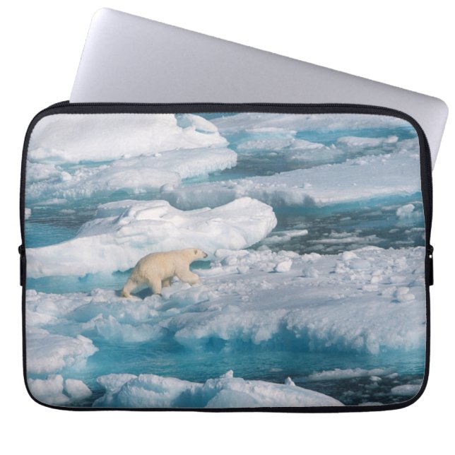 Capa Para Notebook Urso polar que anda no mar (Frente)