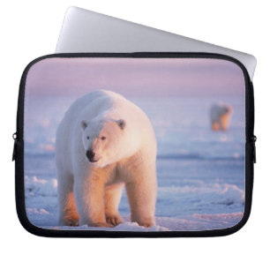 Capa Para Notebook urso polar, Ursus maritimus
