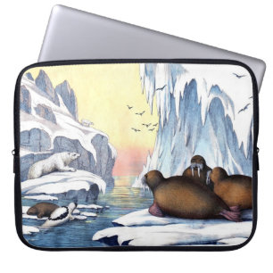 Capa Para Notebook Ursos Polares, Morsa E Selos