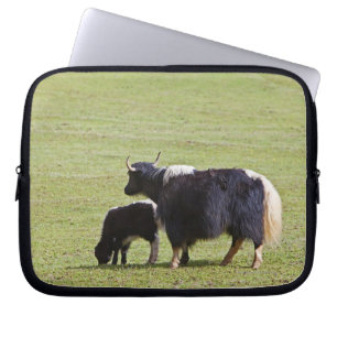 Capa Para Notebook Vaca e Calf Yak   Lijiang