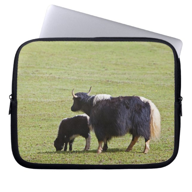 Capa Para Notebook Vaca e Calf Yak | Lijiang (Frente)
