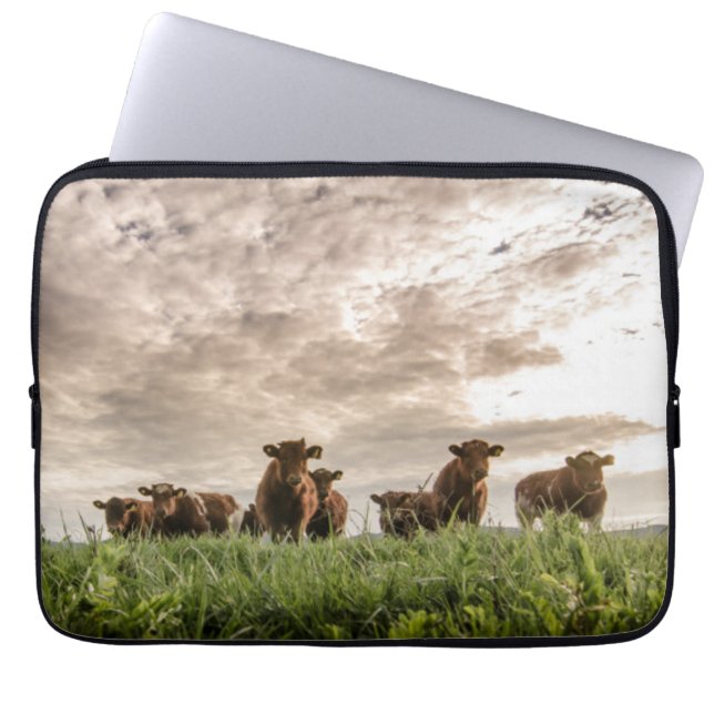 Capa Para Notebook Vacas (Frente)
