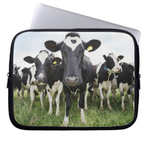 Capa Para Notebook Vacas em fila olhando para a câmera