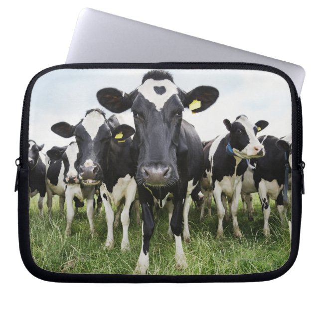 Capa Para Notebook Vacas em fila olhando para a câmera (Frente)