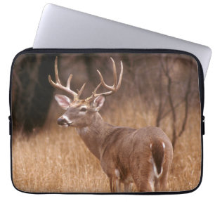 Capa Para Notebook Veado Branco Parque Estadual de Choke Canyon, TX