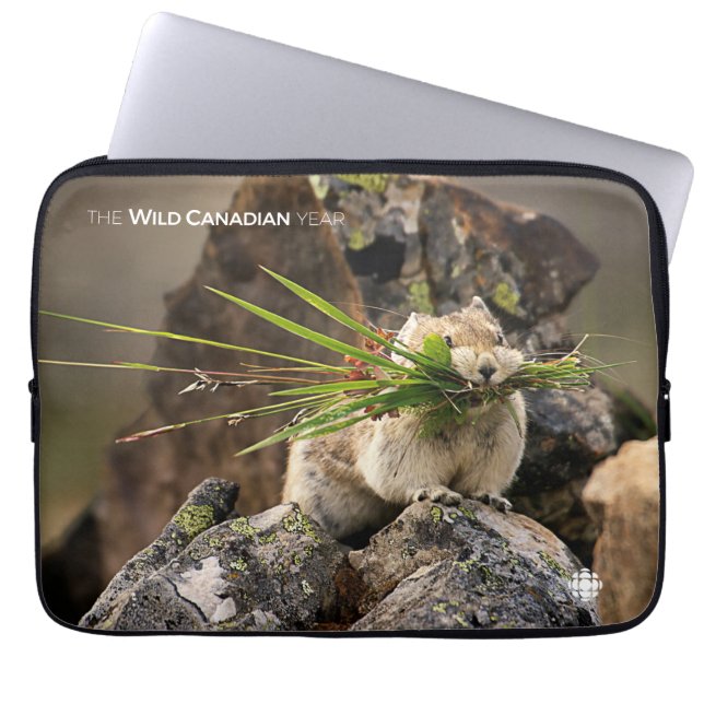 Capa Para Notebook Verão - América Latina (Frente)