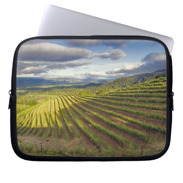 Capa Para Notebook Vineyard. Vale Napa. Napa. Condado de Napa, (Frente)