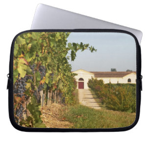 Capa Para Notebook Vinhas, videiras petit verdot e a adega ao