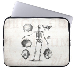 Capa Para Notebook Vintage 1800s Skeleton Antique Anatomy Skeletons