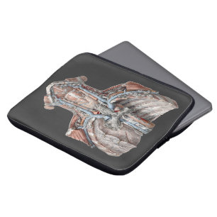 Capa Para Notebook Vintage Anatomia Humana