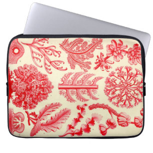 Capa Para Notebook Vintage Haeckel