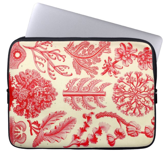 Capa Para Notebook Vintage Haeckel (Frente)
