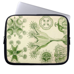 Capa Para Notebook Vintage Haeckel